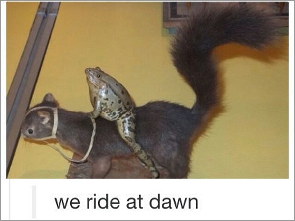 tumblr - there's no time to explain meme - we ride at dawn