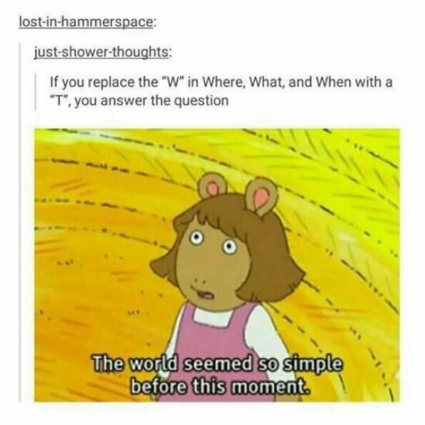 tumblr - funny shower thoughts - lostinhammerspace justshowerthoughts If you replace the "W" in Where, What, and When with a "T", you answer the question The world seemed so simple before this moment.