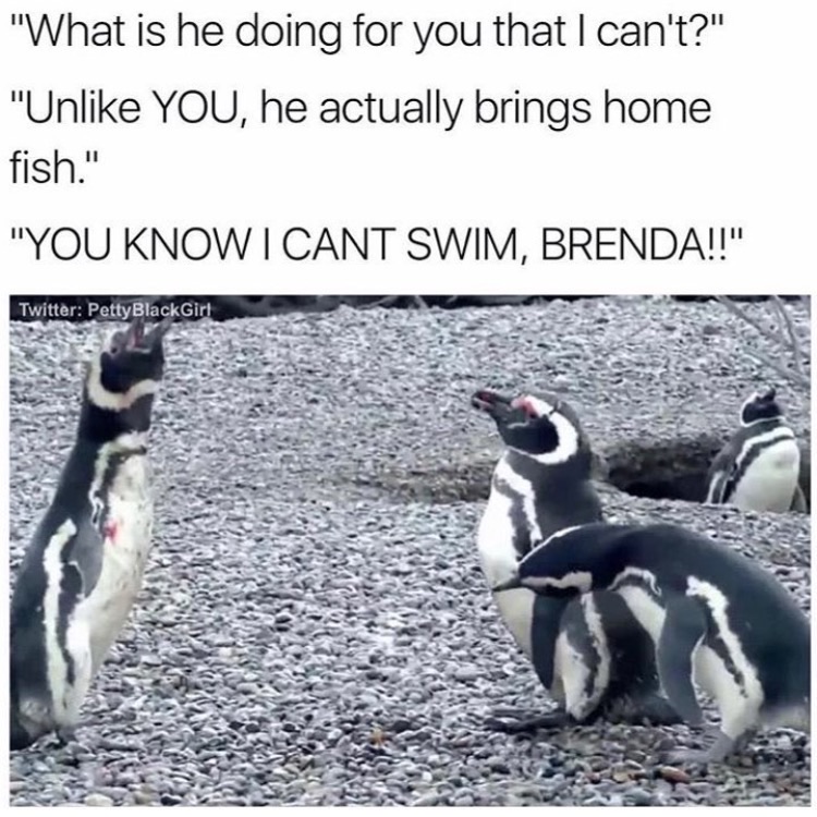 Penguin - "What is he doing for you that I can't?" "Un You, he actually brings home fish." "You Know I Cant Swim, Brenda!!" Twitter Petty Black Girl