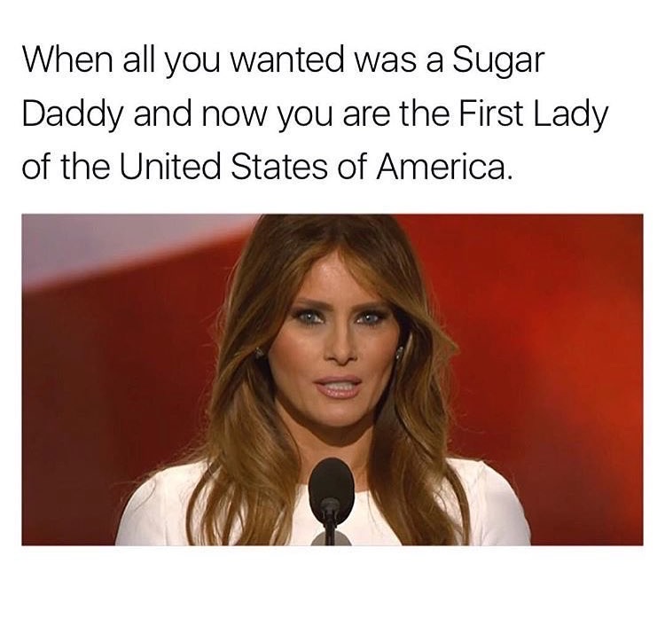 melania trump sugar daddy meme - When all you wanted was a Sugar Daddy and now you are the First Lady of the United States of America.