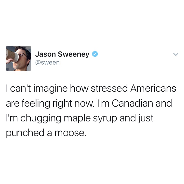 jet li you are killing yourself - Jason Sweeney I can't imagine how stressed Americans are feeling right now. I'm Canadian and I'm chugging maple syrup and just punched a moose.