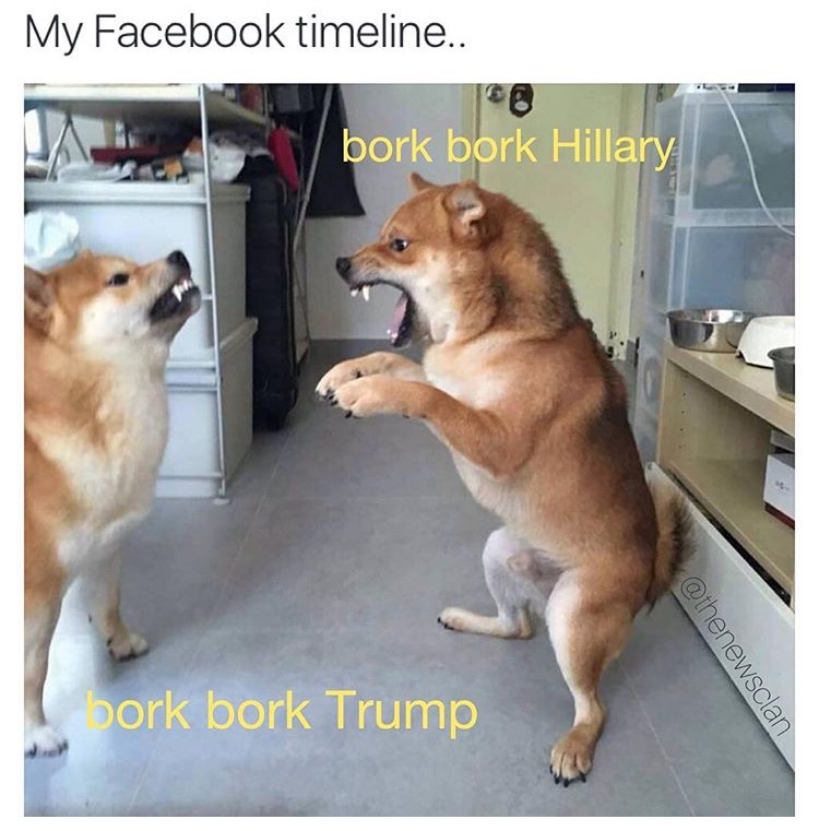angery doge - My Facebook timeline.. bork bork Hillary bork bork Trump