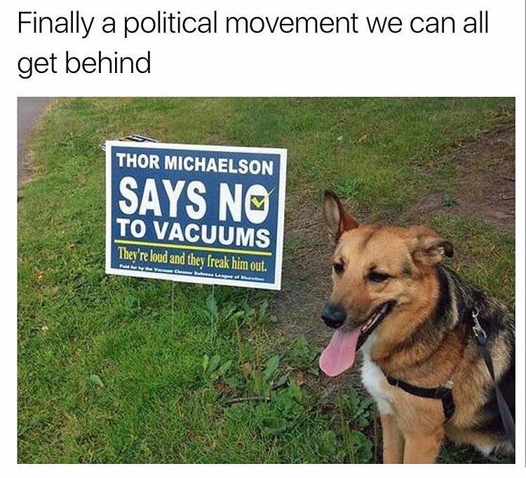 say no to vacuums - Finally a political movement we can all get behind Thor Michaelson Says No To Vacuums They're loud and they freak him out.