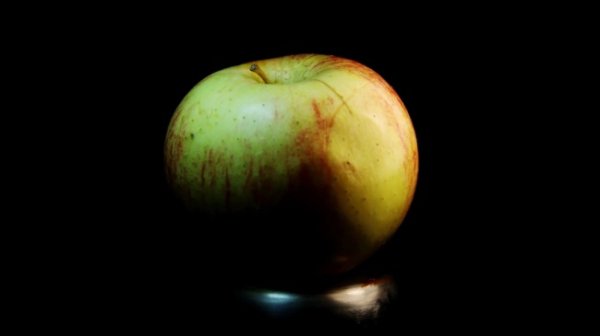 Apple stem