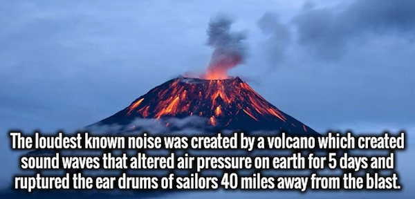 Random facts to add to your treasure trove of useless knowledge