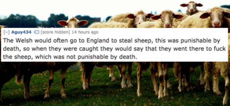 Sheep - Aguy 434 score hidden 14 hours ago The Welsh would often go to England to steal sheep, this was punishable by death, so when they were caught they would say that they went there to fuck the sheep, which was not punishable by death.