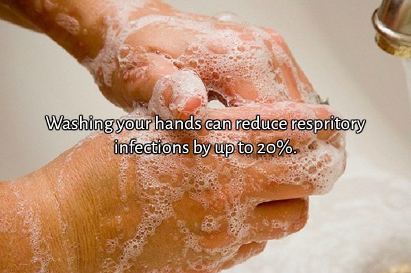 ‘Brush up’ on your knowledge of hygiene