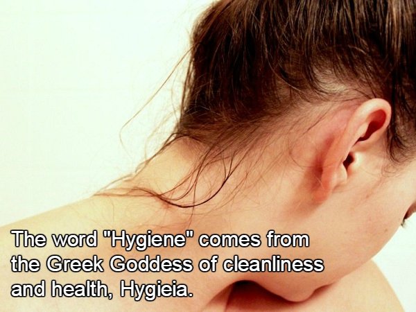 ‘Brush up’ on your knowledge of hygiene