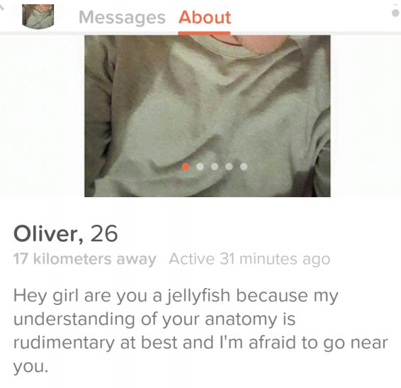 Tinderers Who've Mastered The Art Of The Bio