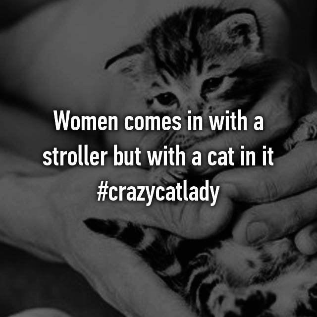 handful kitten - Women comes in with a stroller but with a cat in it