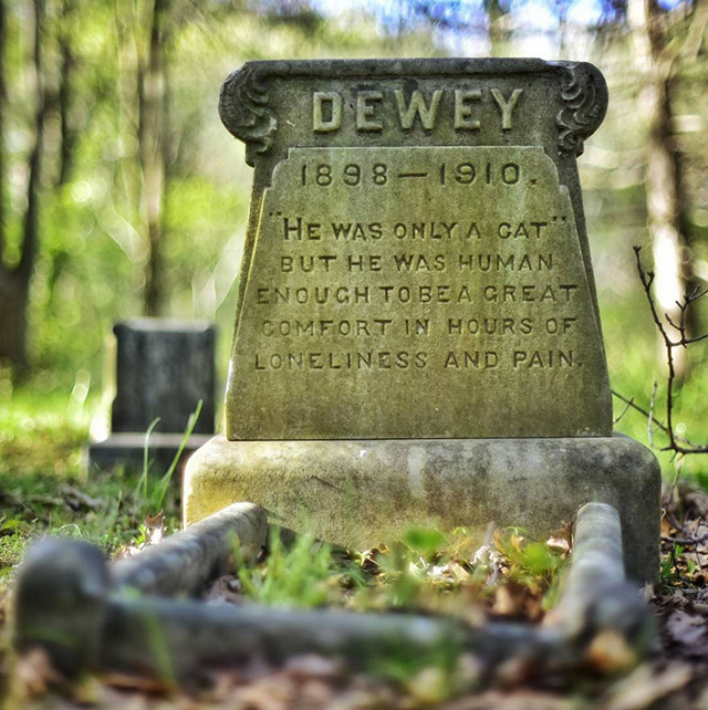 cat gravestone - & Dewey 18981910. 1 "He Was Only A Gat But He Was Human Enough To Be A Great Comfort In Hours Of Loneliness And Pain
