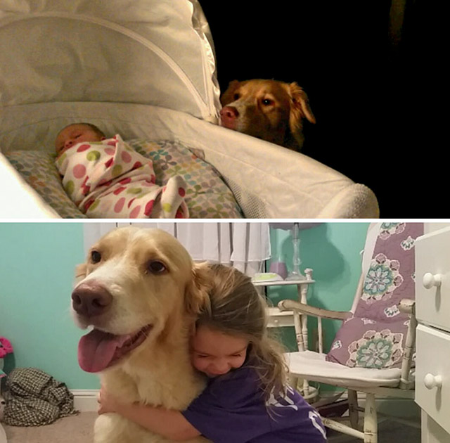 dogs growing up with owners