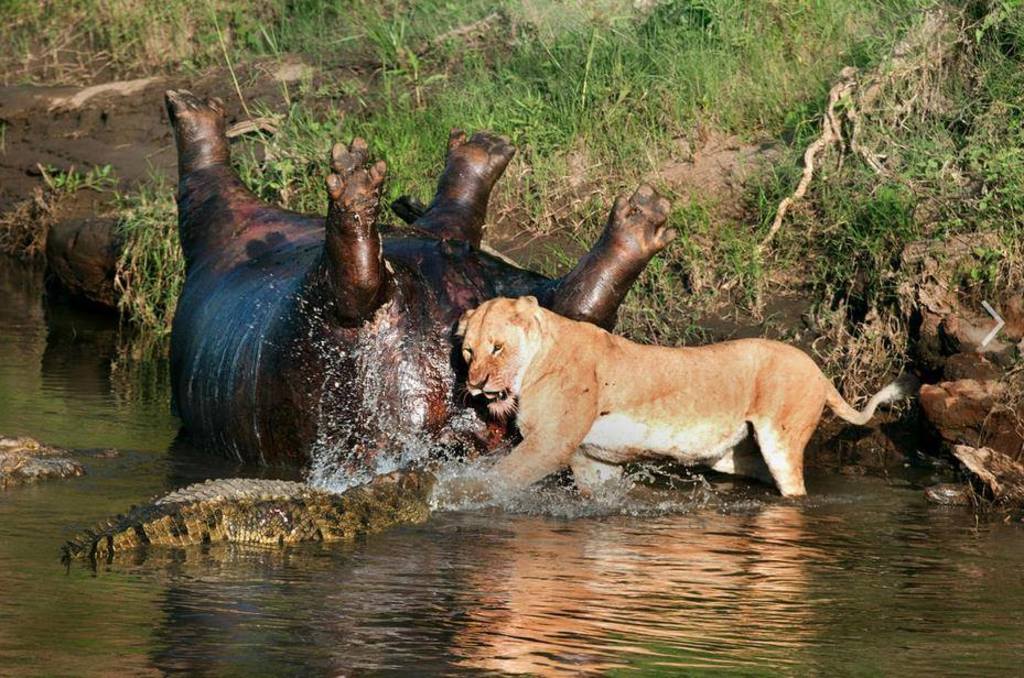 Nature is fucking metal