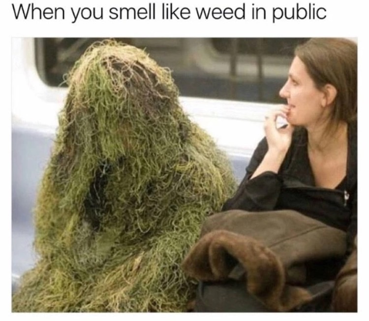 memes - you smell like weed - When you smell weed in public