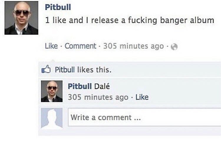 memes - pitbull facebook meme - Pitbull 1 and I release a fucking banger album Comment 305 minutes ago. Pitbull this. Pitbull Dal 305 minutes ago Write a comment...
