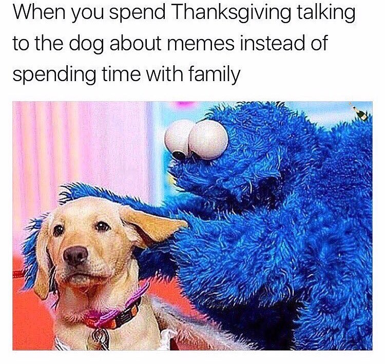 memes - me everytime i see a dog - When you spend Thanksgiving talking to the dog about memes instead of spending time with family