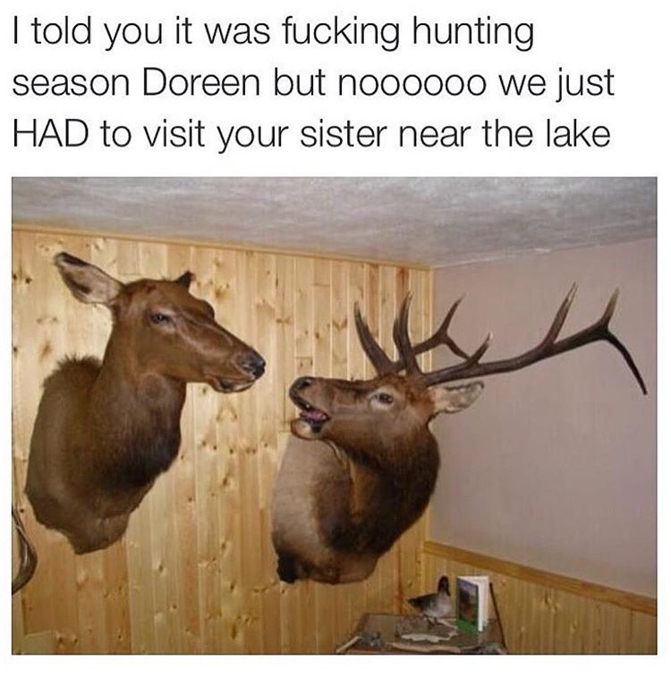 memes - goddammit doreen - I told you it was fucking hunting season Doreen but nooo000 we just Had to visit your sister near the lake