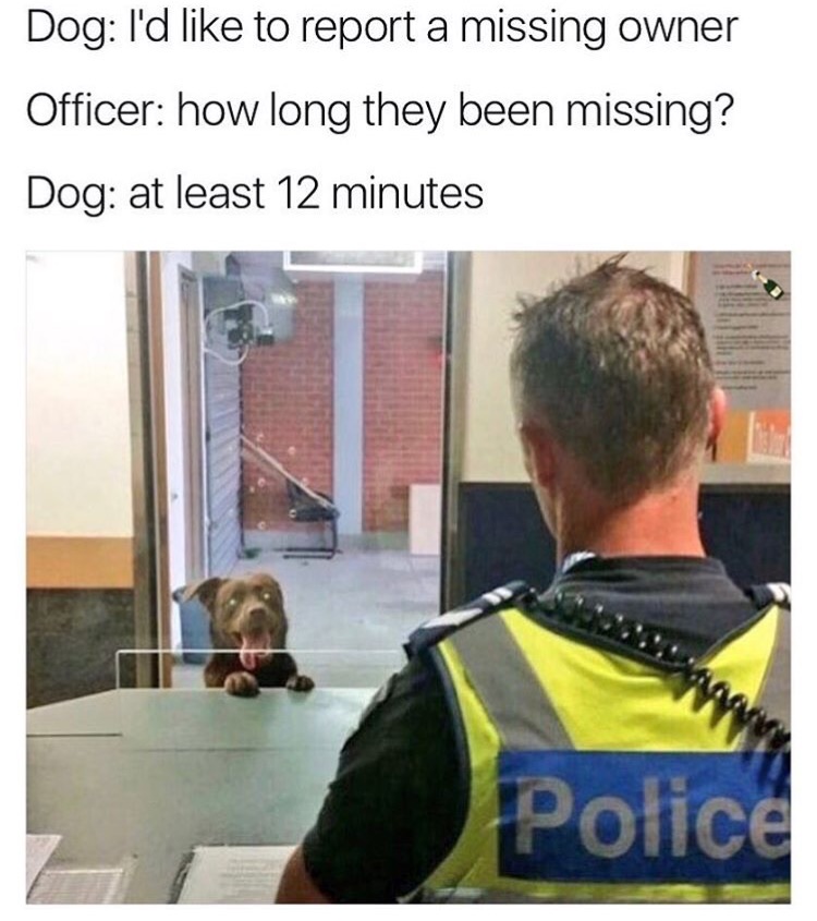 memes - dog report missing owner - Dog I'd to report a missing owner Officer how long they been missing? Dog at least 12 minutes Police
