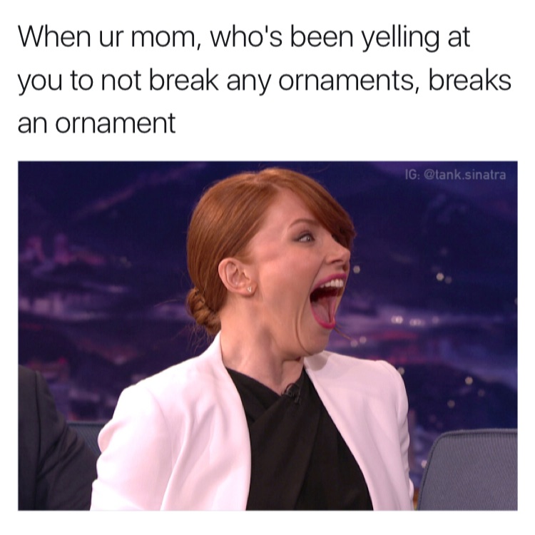 memes - jurassic world bryce dallas howard - When ur mom, who's been yelling at you to not break any ornaments, breaks an ornament Ig .sinatra