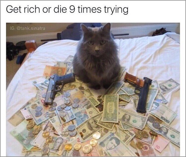 memes - cat with money and guns - Get rich or die 9 times trying Ig .sinatra