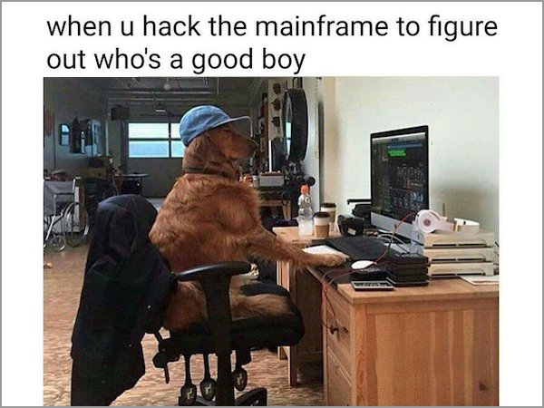 memes - hacking into the mainframe meme - when u hack the mainframe to figure out who's a good boy
