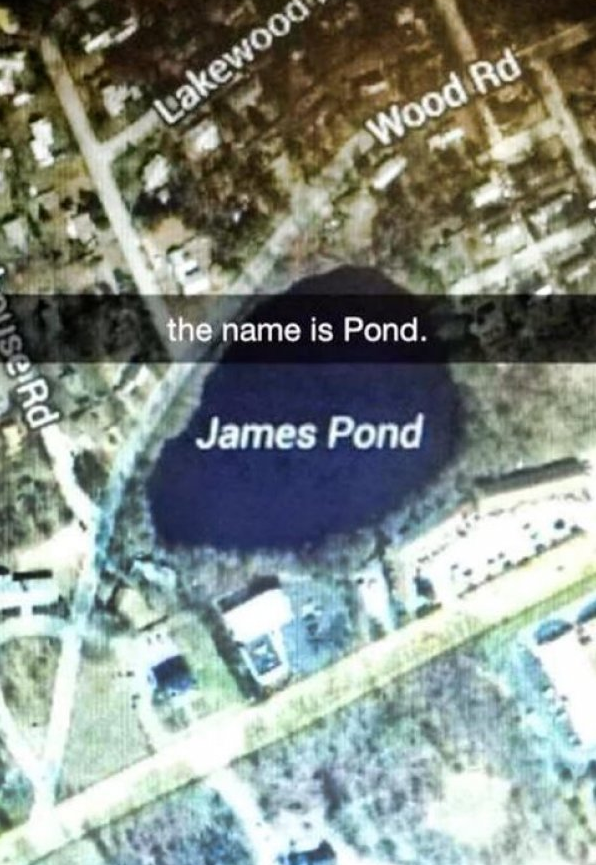 james pond meme - Lakewood Wood Rd the name is Pond. se Rd James Pond