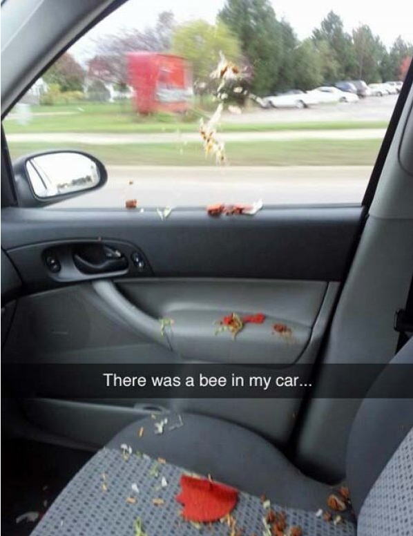 car snapchats - There was a bee in my car...