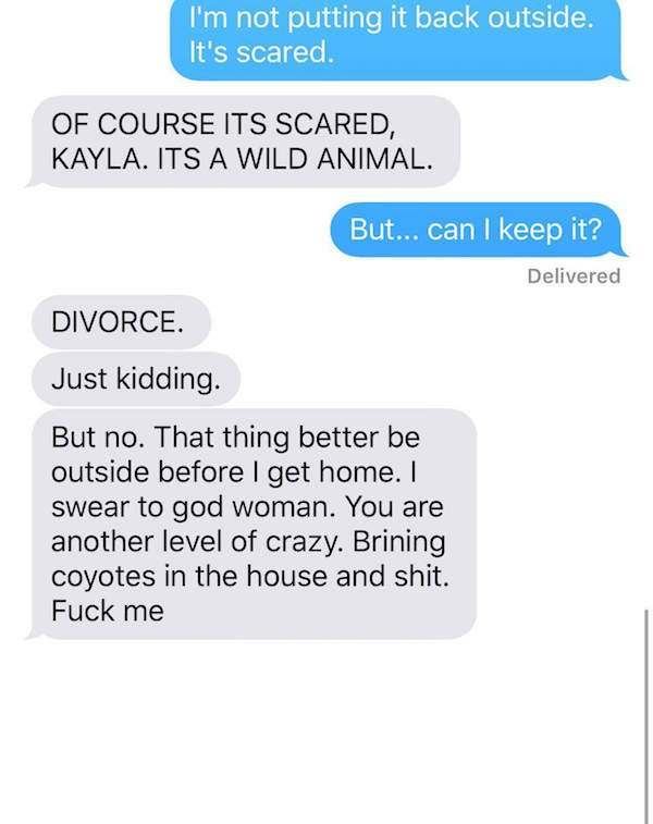 Husband loses mind as wife trolls him with 'adopted' coyote