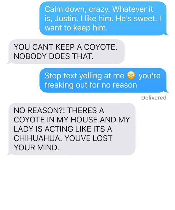 Husband loses mind as wife trolls him with 'adopted' coyote