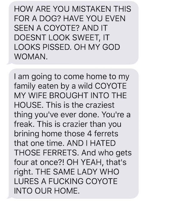 Husband loses mind as wife trolls him with 'adopted' coyote