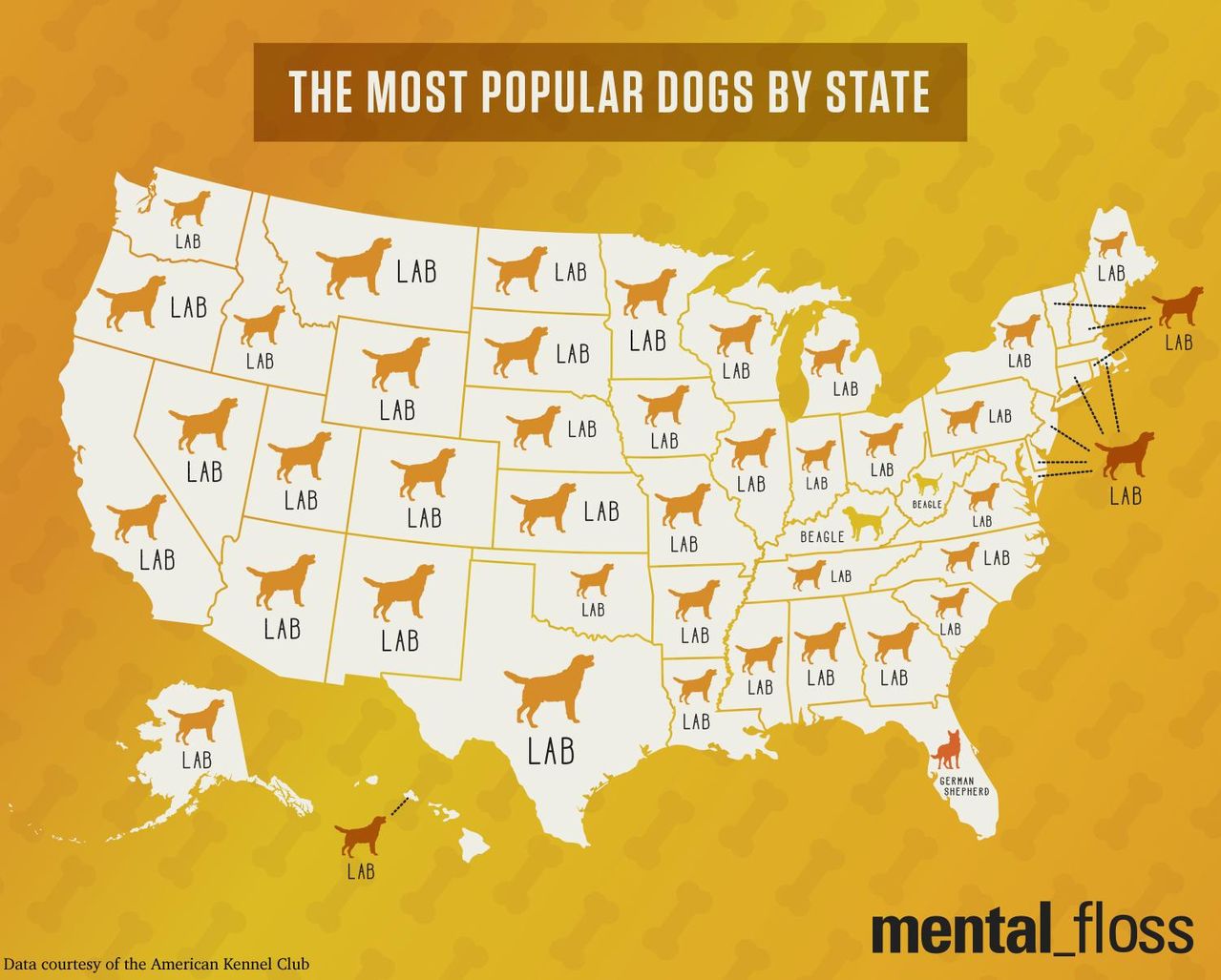 Most Popular Dog Breed by State