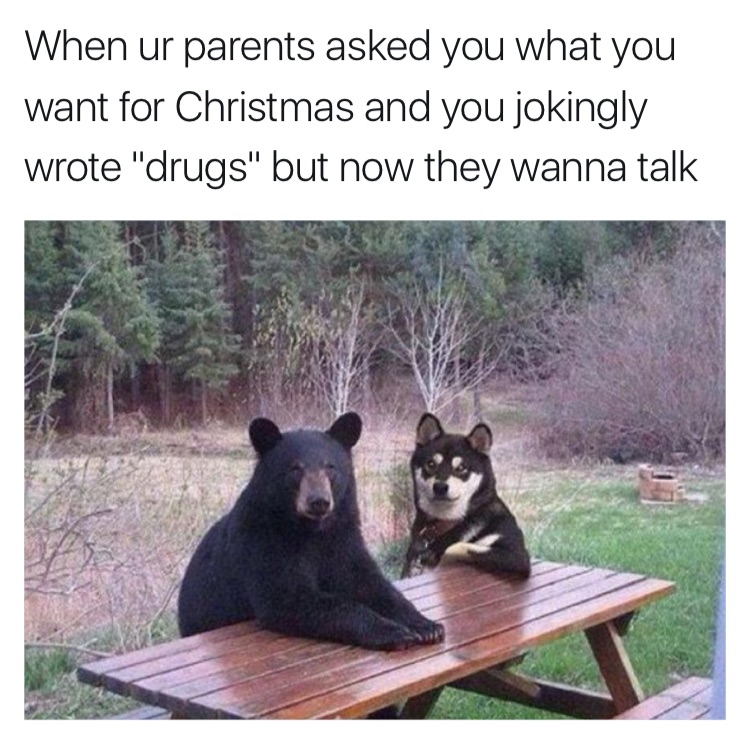memes  -three different animals - When ur parents asked you what you want for Christmas and you jokingly wrote "drugs" but now they wanna talk