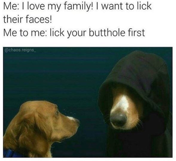 memes  -fam sleeping bark - Me I love my family! I want to lick their faces! Me to me lick your butthole first reigns