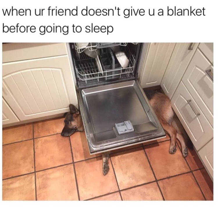 memes  -you sleep over at a friend's house meme - when ur friend doesn't give u a blanket before going to sleep
