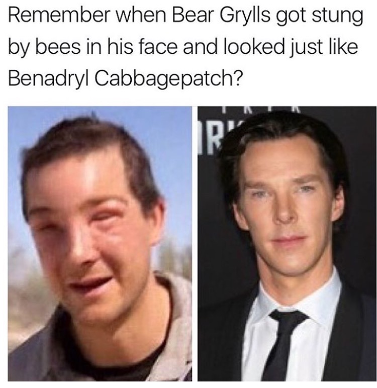 memes  -bear grylls benedict cumberbatch meme - Remember when Bear Grylls got stung by bees in his face and looked just Benadryl Cabbagepatch?