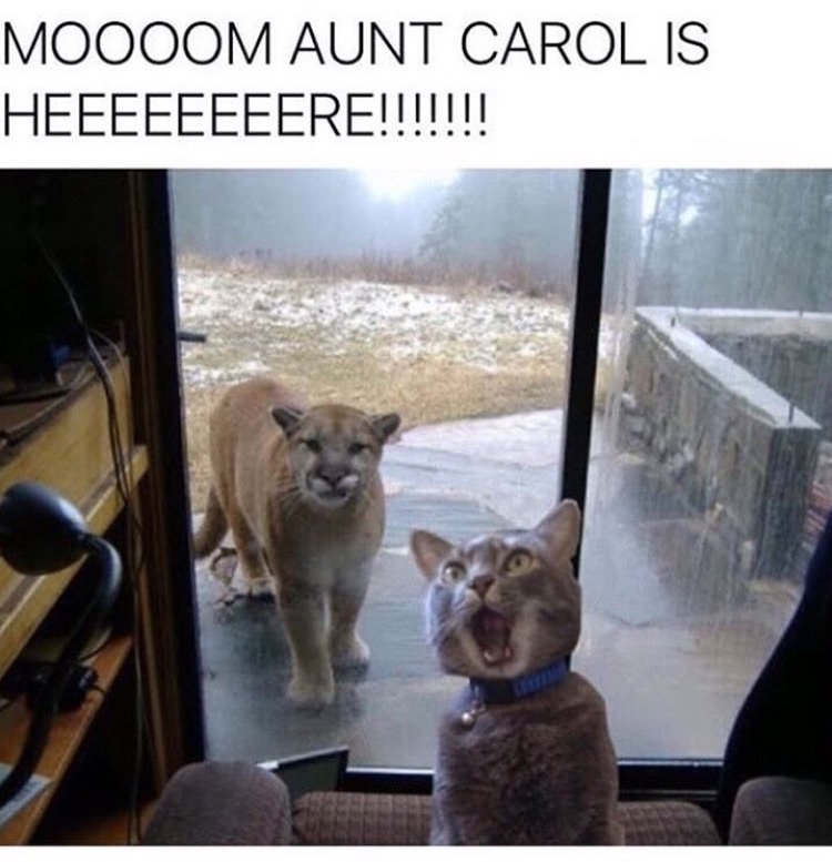 memes  -mom aunt carol is here meme