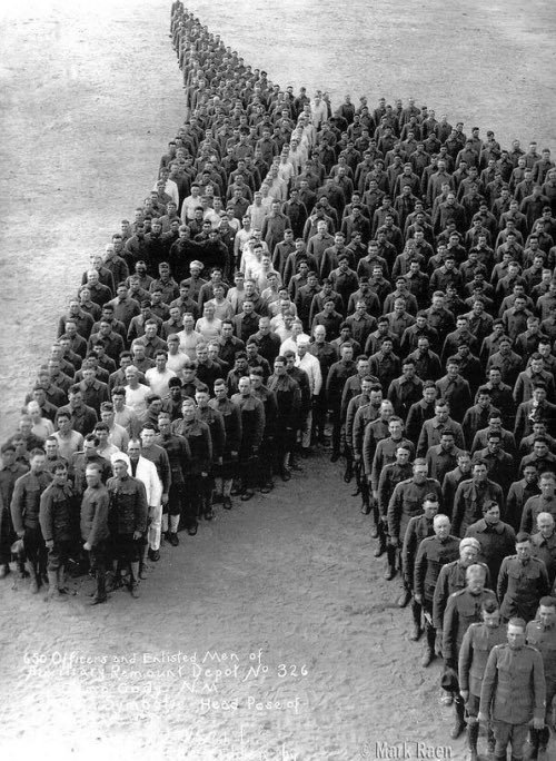 Soilders paying tribute to 8 million donkeys, horses and mules that died during WW1