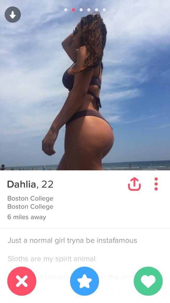 Creative Tinder bios will get you a long way