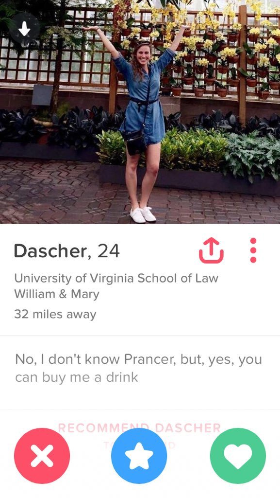 Creative Tinder bios will get you a long way