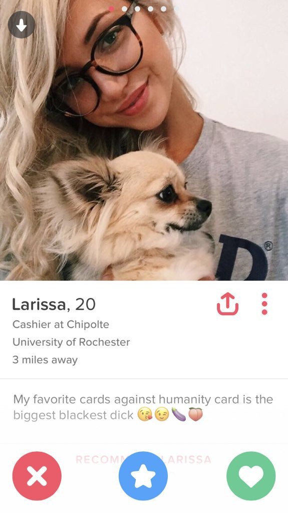 Creative Tinder bios will get you a long way