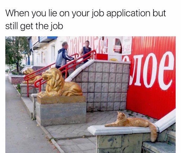 memes - you completely lie on your cv meme - When you lie on your job application but still get the job