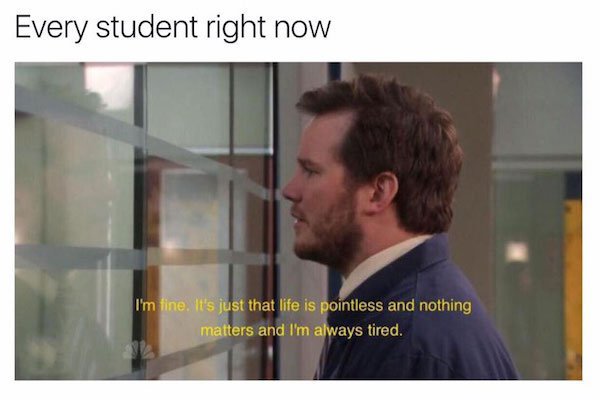 memes - im fine its just that life is pointless - Every student right now I'm fine. It's just that life is pointless and nothing matters and I'm always tired.