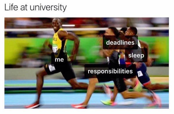 memes - usain bolt memes - Life at university deadlines sleep me responsibilities