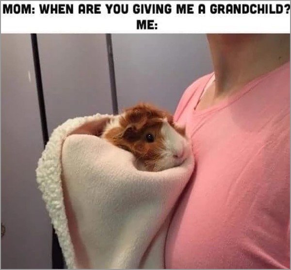 memes - photo caption - Mom When Are You Giving Me A Grandchild? Me