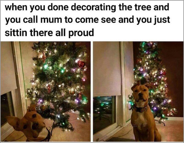 memes - christmas tree - when you done decorating the tree and you call mum to come see and you just sittin there all proud MinousiF