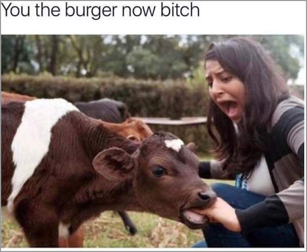 memes - you the burger now meme - You the burger now bitch