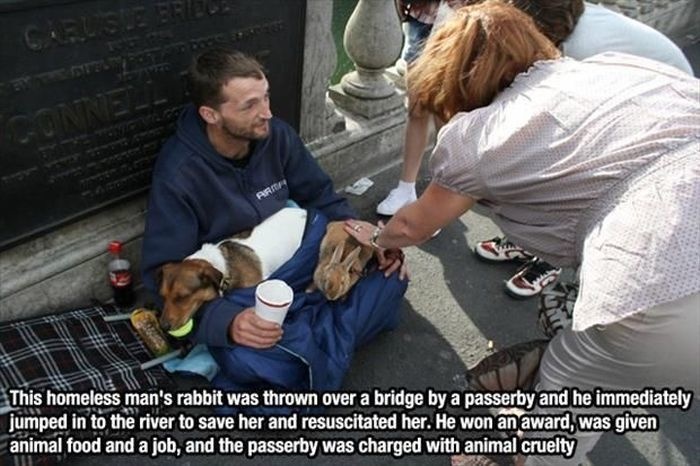 people doing amazing things - Crusie Bela This homeless man's rabbit was thrown over a bridge by a passerby and he immediately jumped in to the river to save her and resuscitated her. He won an award, was given animal food and a job, and the passerby was 