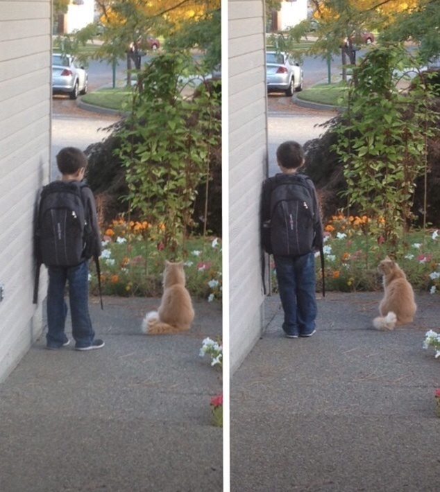 A cat that waits with his human every morning while he waits for the bus to go to school.