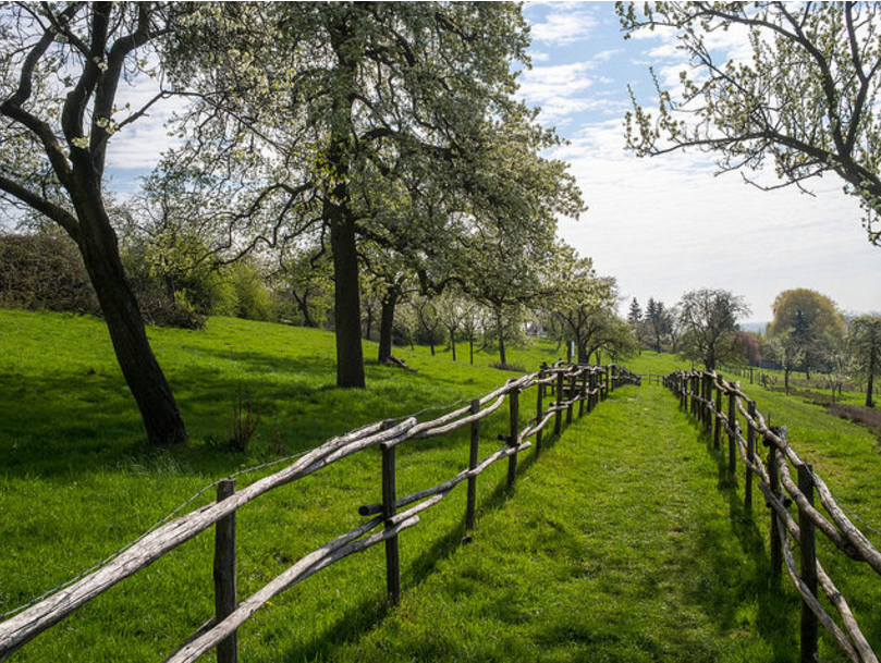 When lost during a hike, look for a fence or a stream. Fences typically lead to roads, while streams flow downhill toward larger bodies of water.