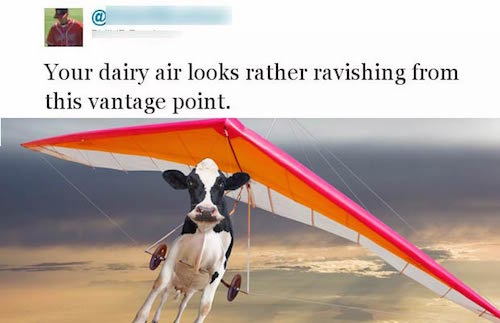 Perfect Photo Responses to the Dumbest Tweets Ever Tweeted